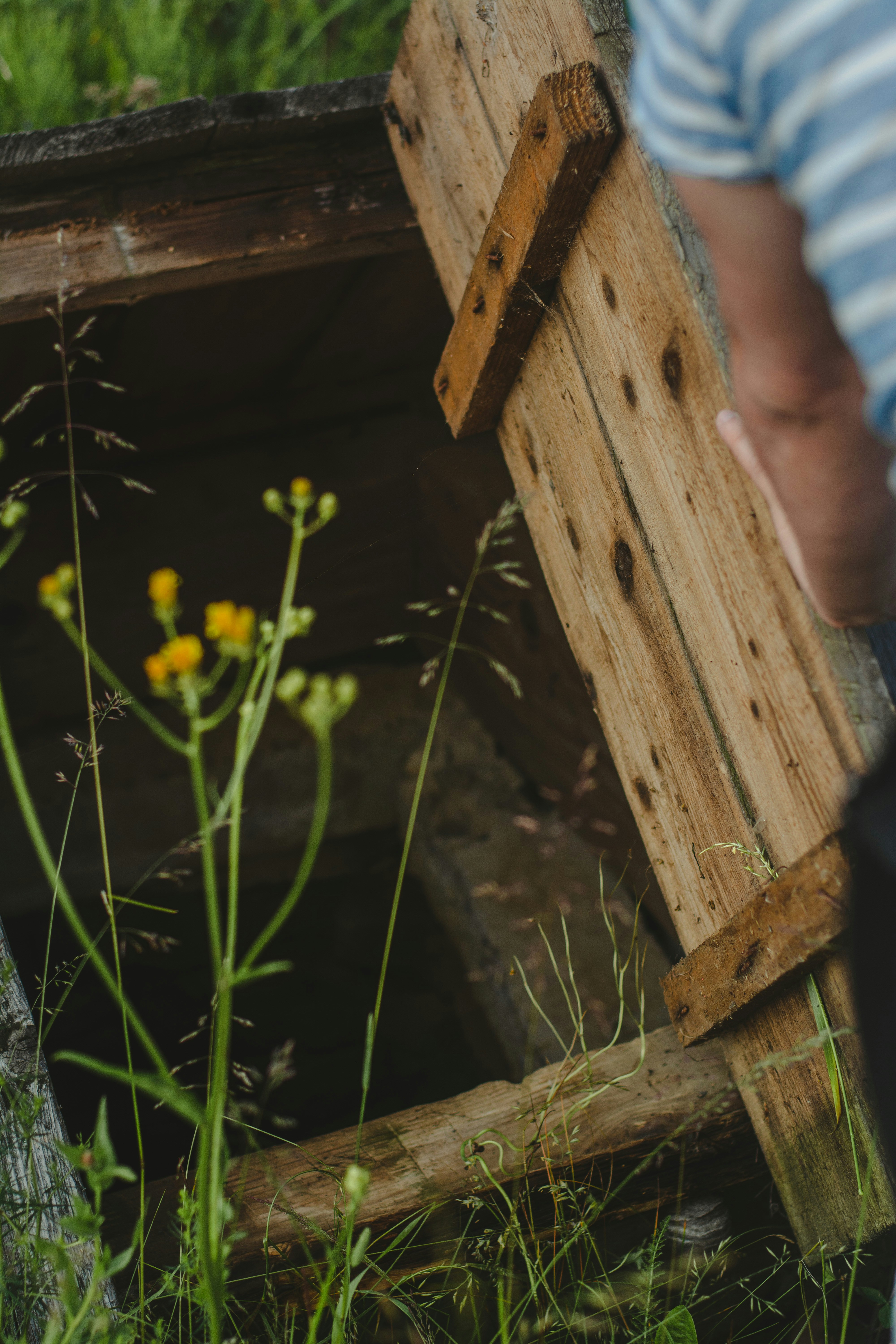 Photo by eugenivy_now