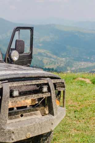 Šarvys head unit installed in an off-road vehicle, showing the durable build against a rugged landscape backdrop.