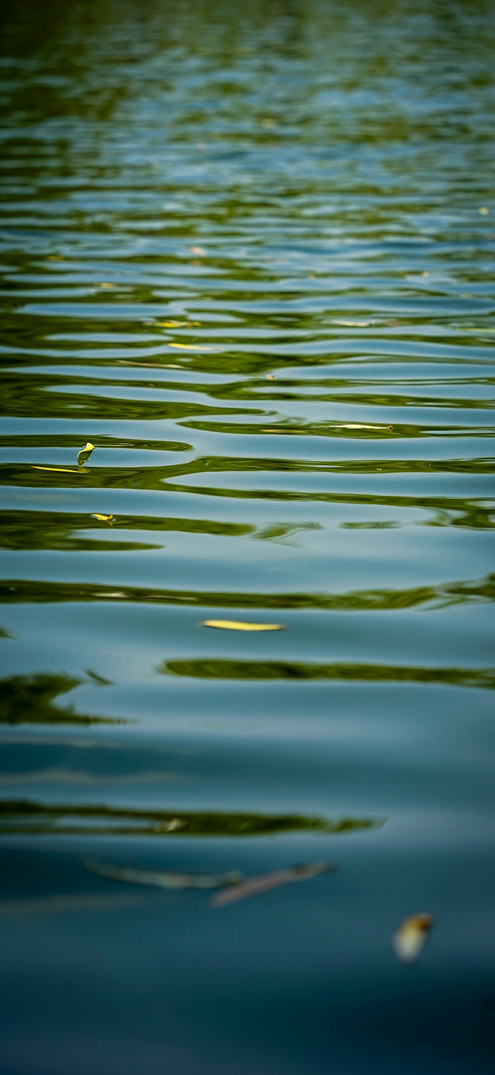 a bird is sitting on the edge of a body of water