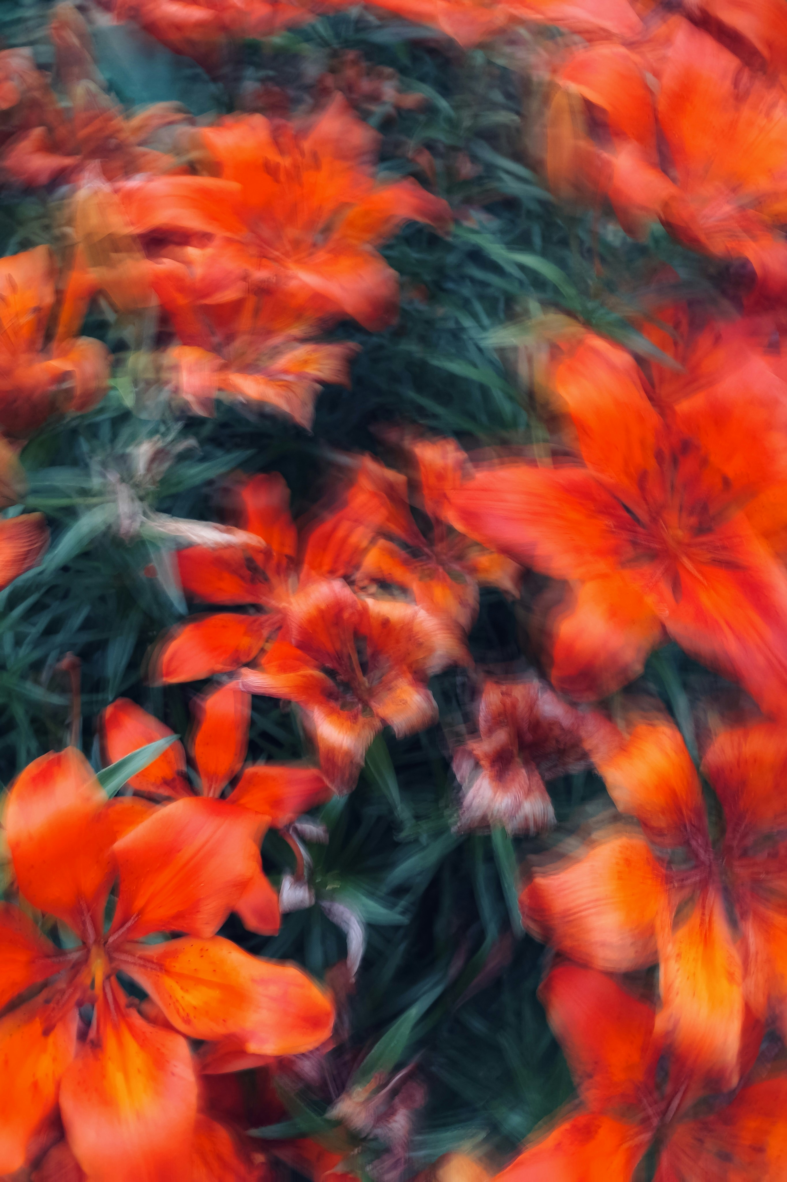 Photo by eugene_golovesov