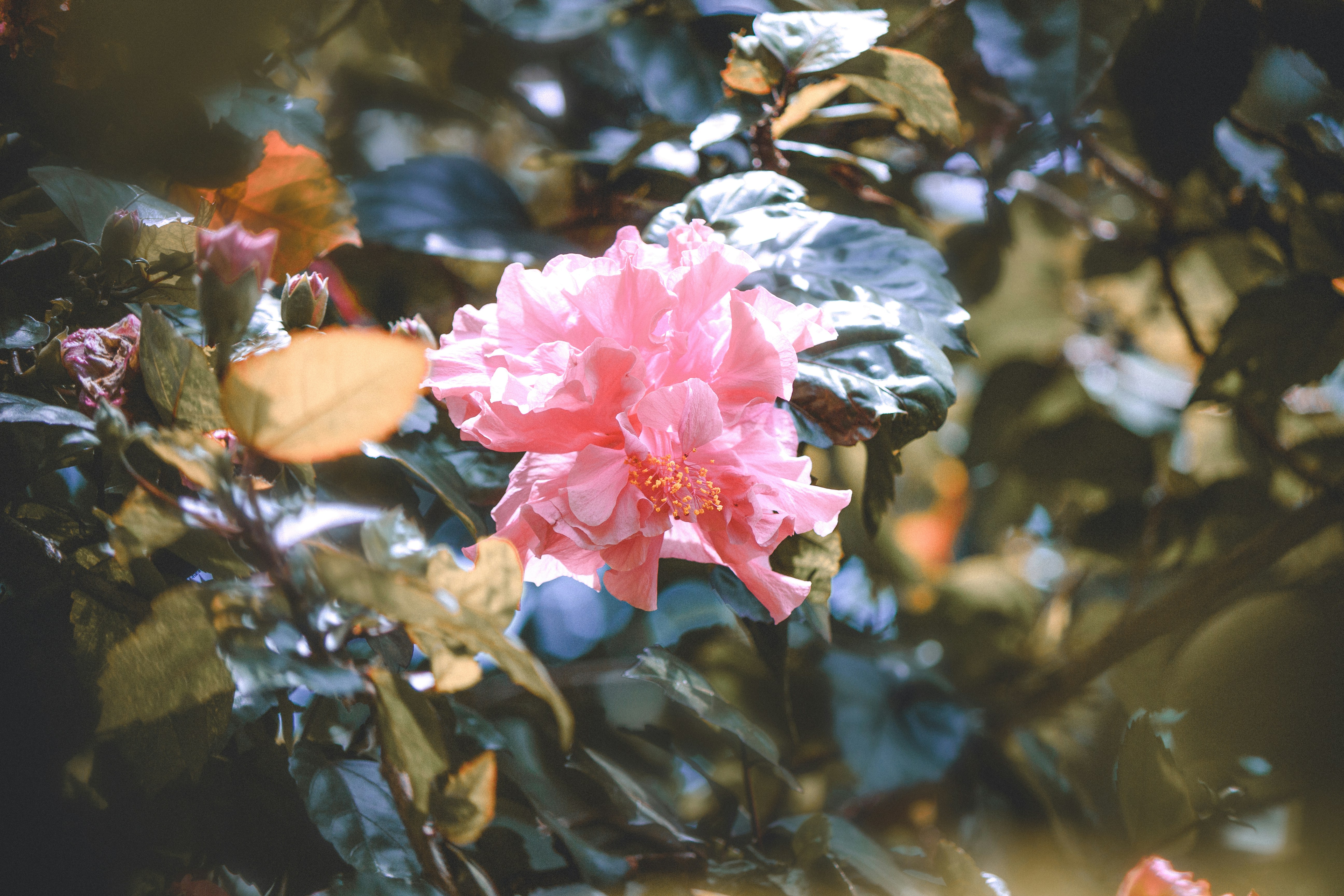 Photo by skye463