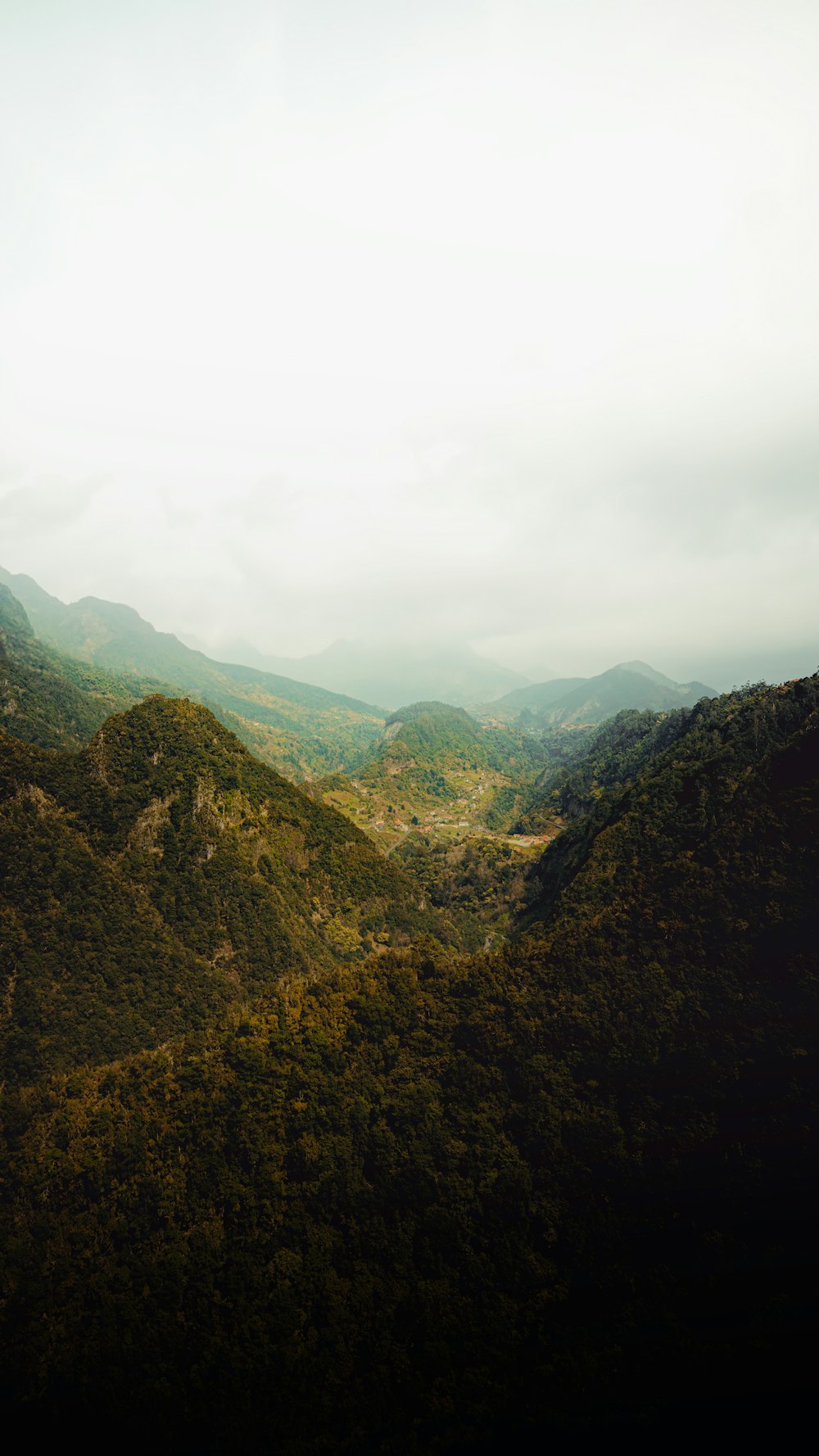 a scenic view of a valley with mountains in the background