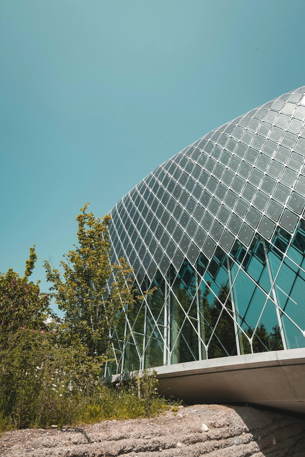 a building with a glass front and a tree in front of it