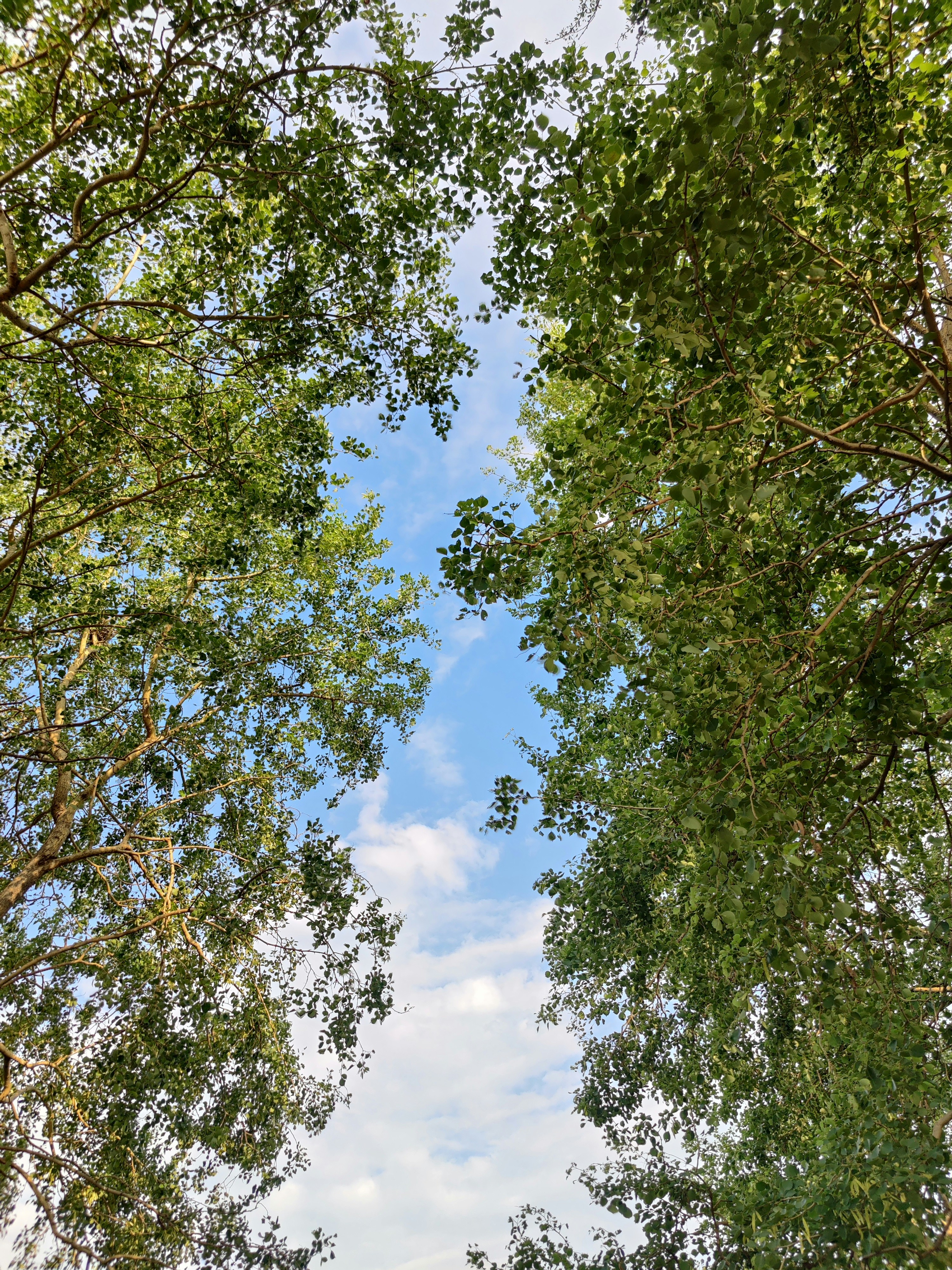 Photo by mohammadtausif