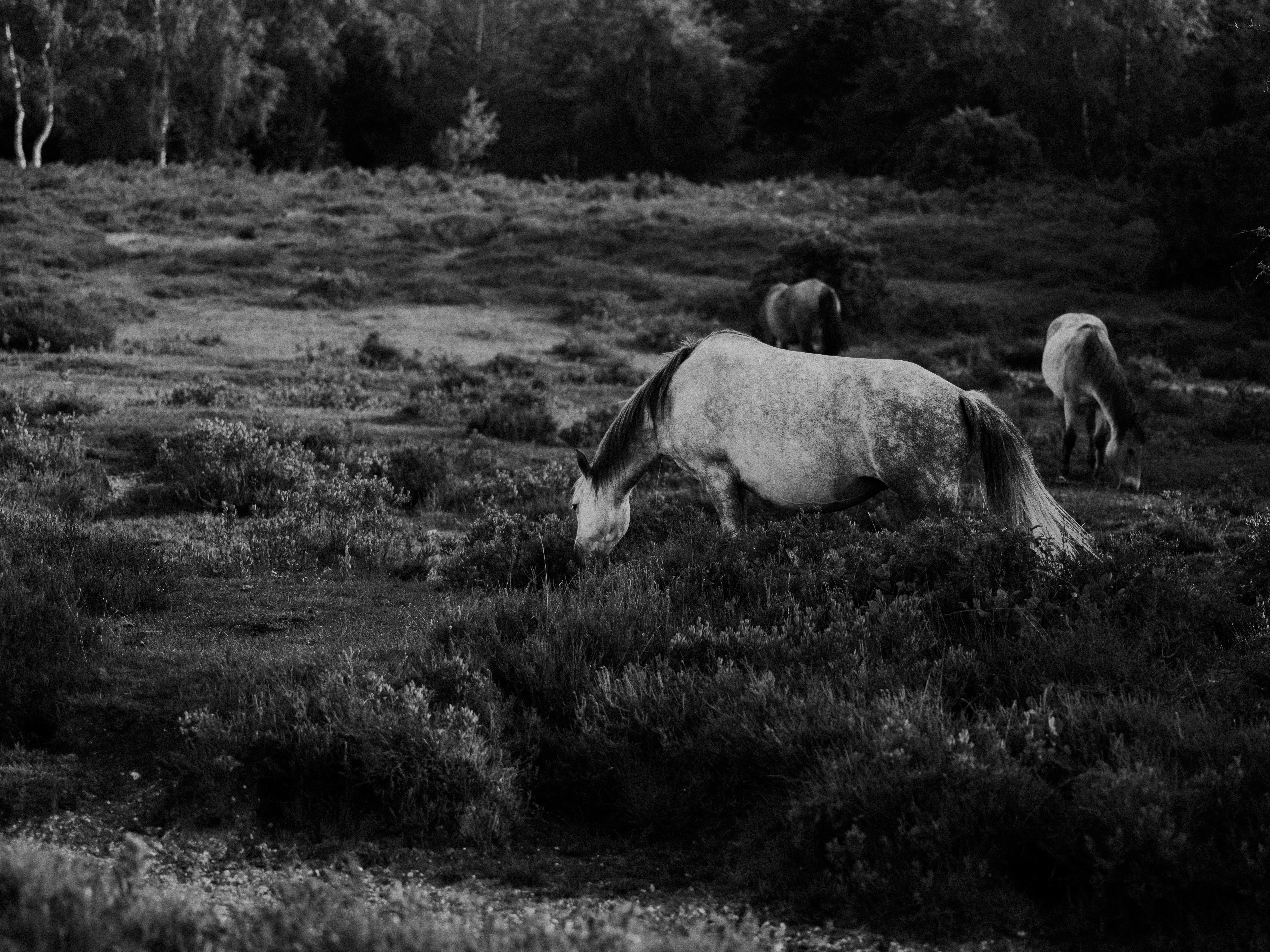 Photo by anniespratt