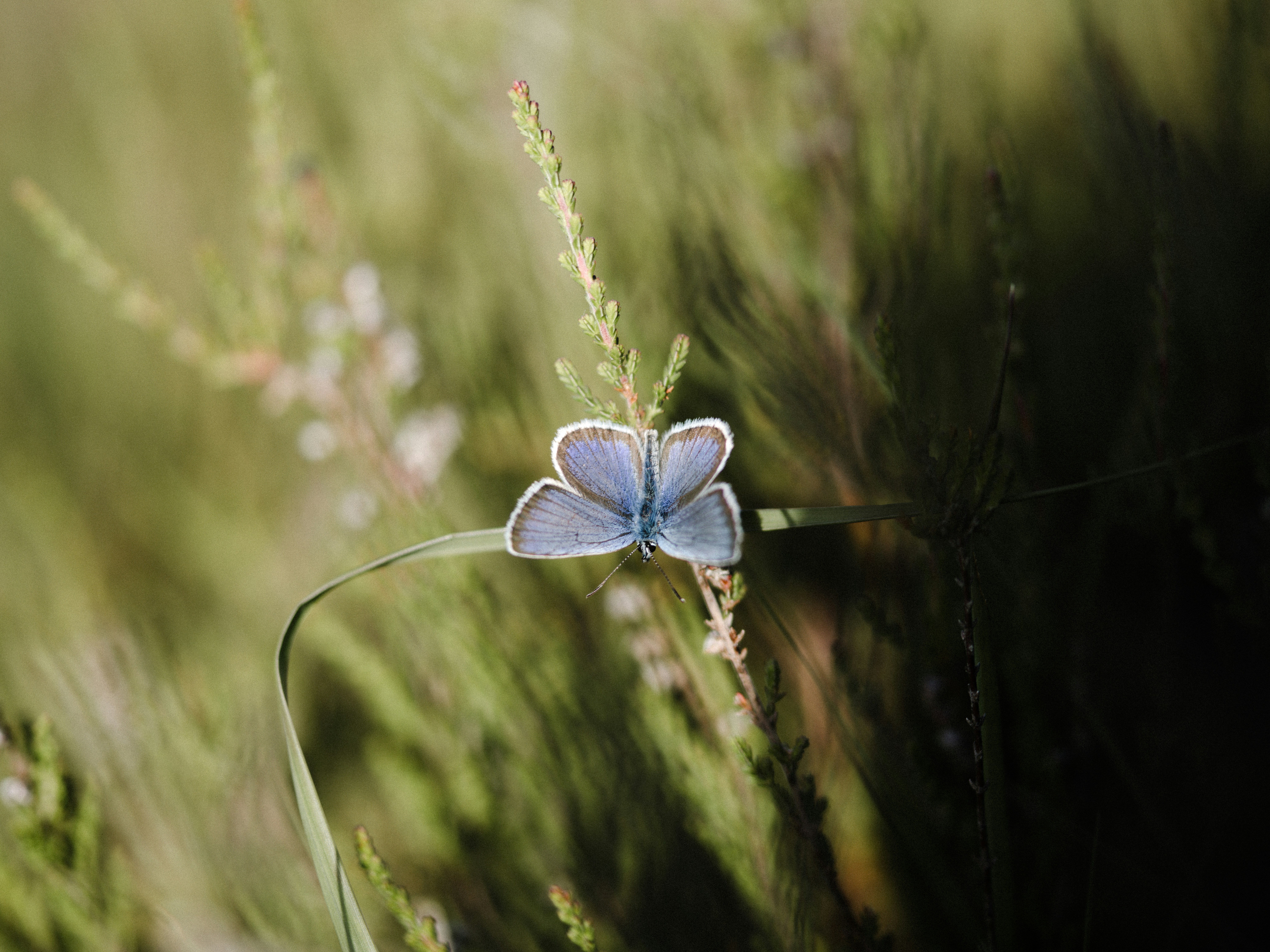 Photo by anniespratt