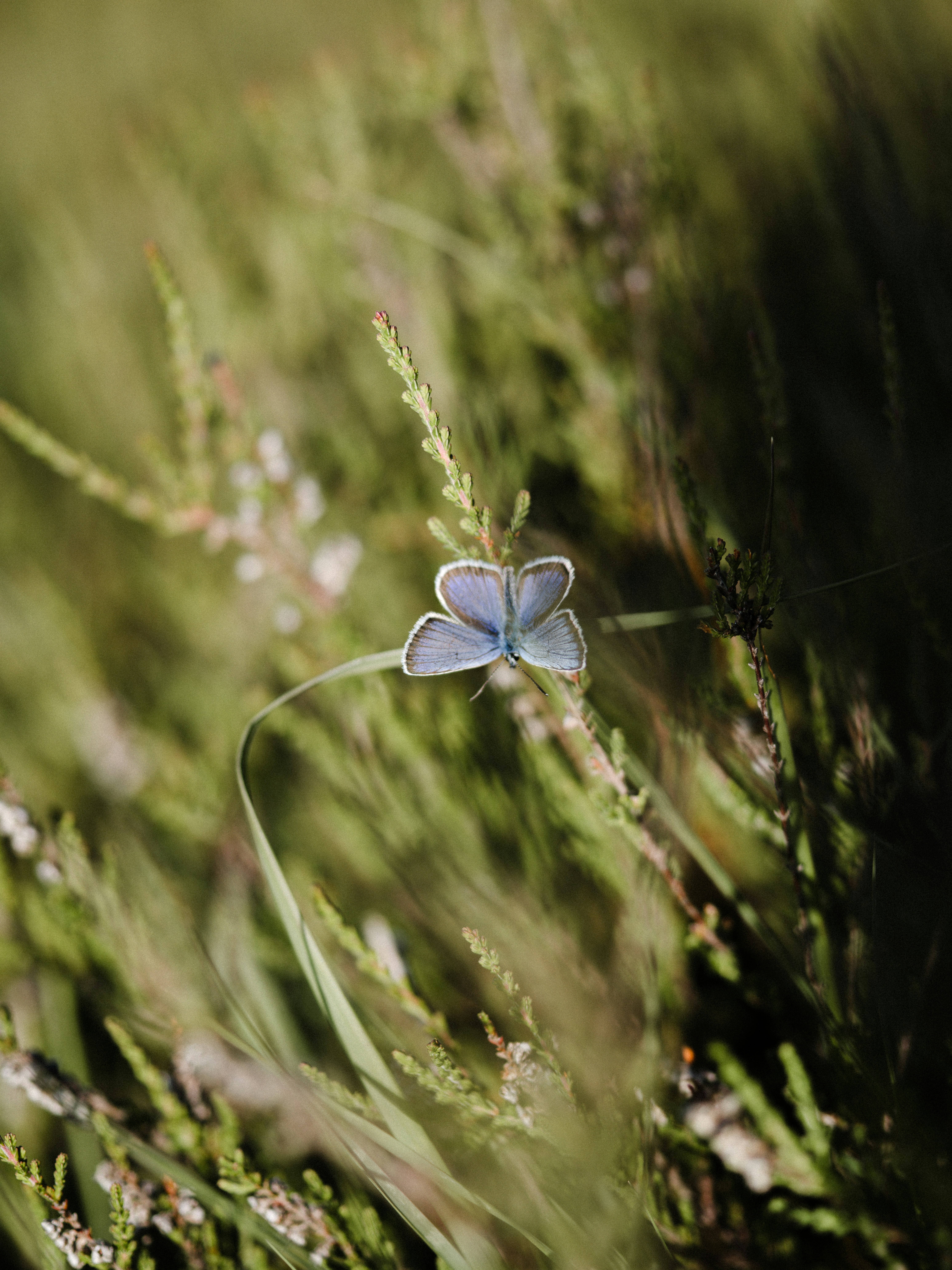 Photo by anniespratt