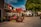 A quaint street features charming buildings with red-tiled roofs and vibrant flower arrangements. Colorful flags hang from the buildings, and large trees provide shade over the cobbled street. In the background, outdoor seating and a small cart add to the village-like atmosphere.