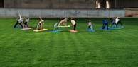 A group of people is practicing yoga on colorful mats spread across a lush green lawn under a concrete structure. The participants are performing a stretching pose and are dressed in casual athletic wear.