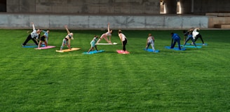Group practicing yoga in a lush outdoor space.