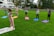 A group of six people are practicing yoga on colorful mats arranged in a line on a lush green lawn. A woman in pink yoga attire is leading the session, standing with arms extended. The participants, displaying various poses, are positioned at a distance from a modern building with large windows. Trees border the area, creating a serene outdoor environment.