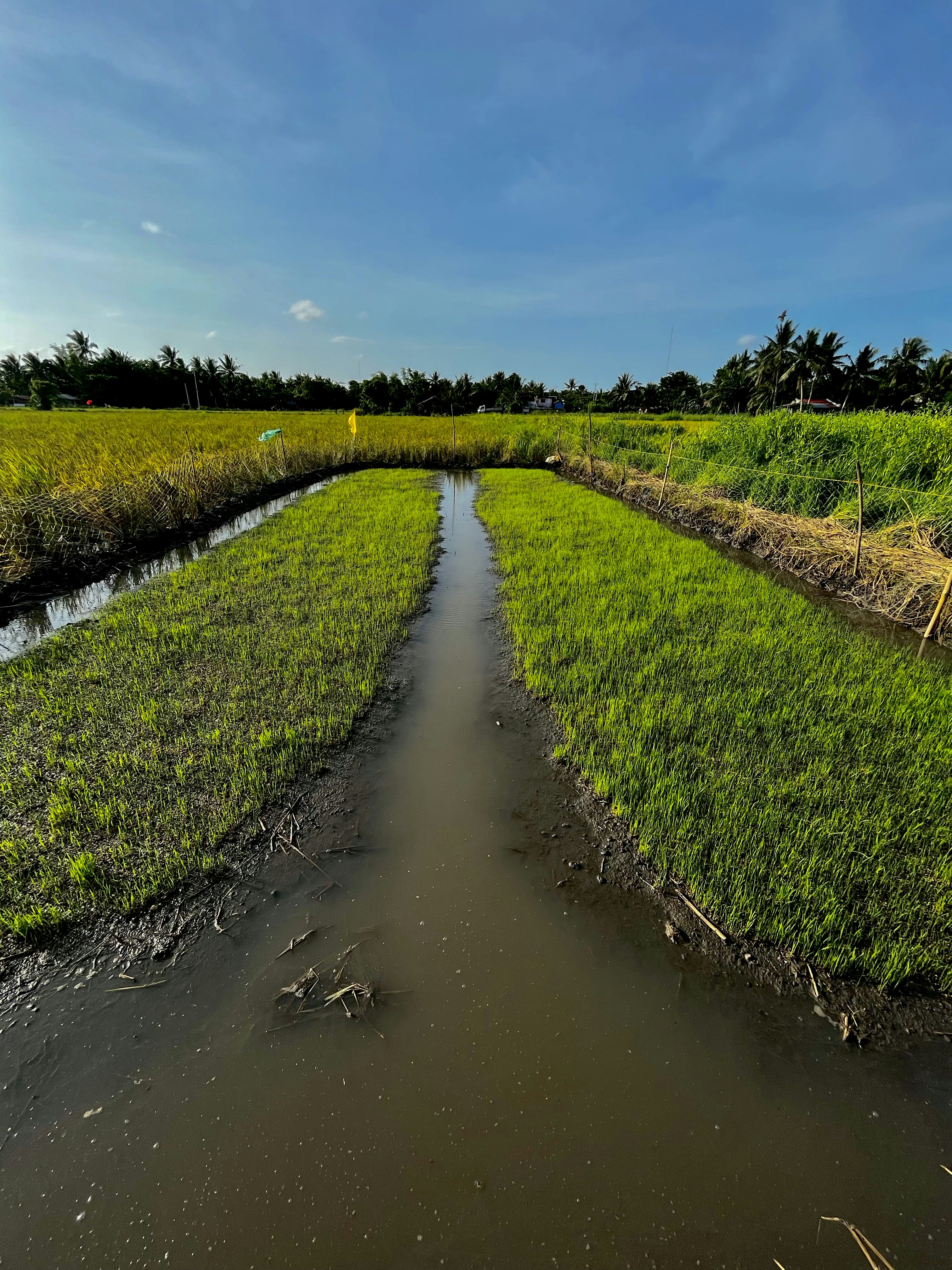 Photo by ellireeh_77