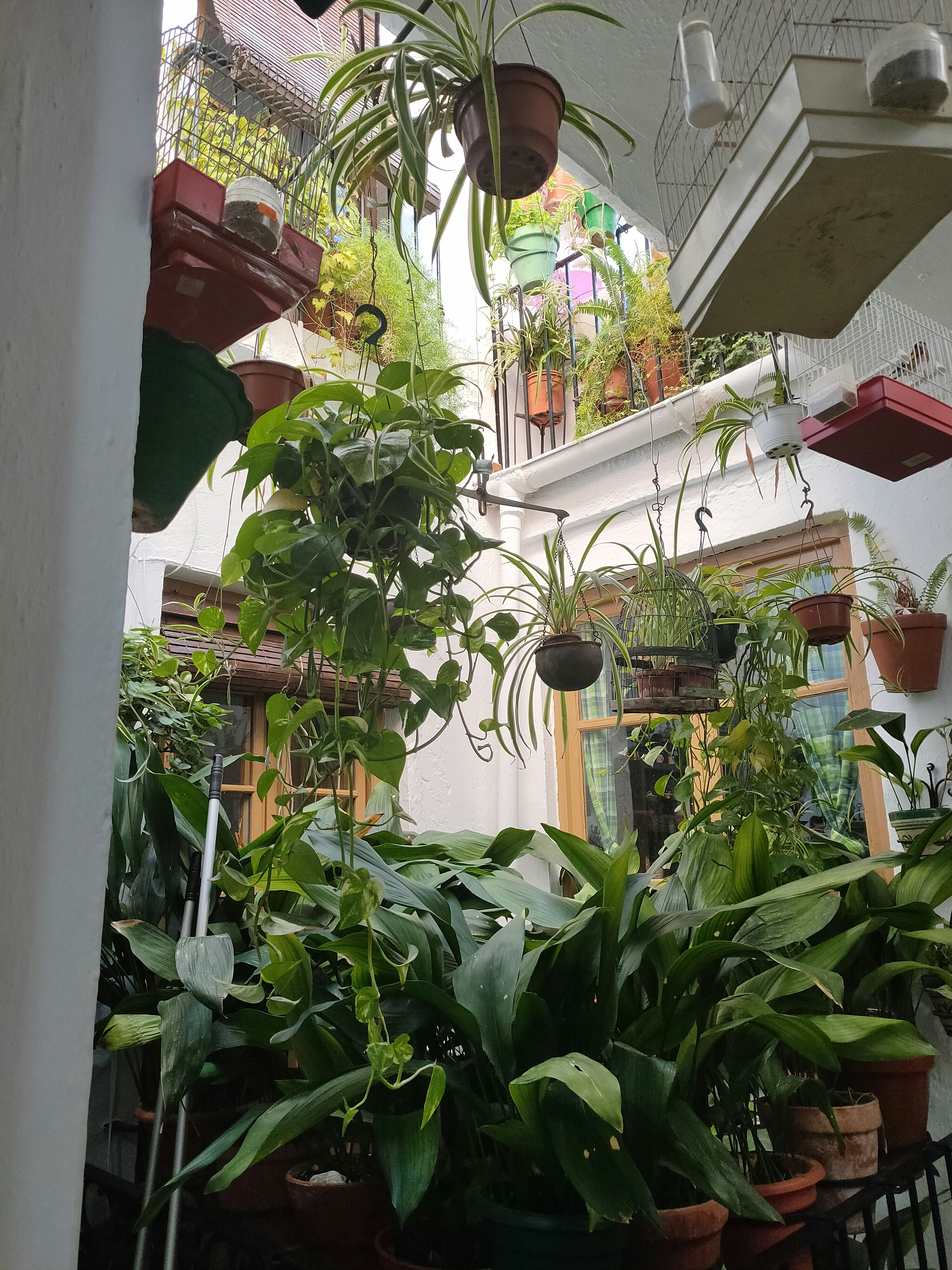 Apartamentos, sacadas e até cozinhas podem abrigar uma horta produtiva