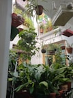 An indoor garden filled with an abundance of potted plants, both hanging and placed on various surfaces. The area appears lush and vibrant with greenery, showing a mix of different plant types. Natural light filters through a window, enhancing the fresh atmosphere.