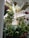 A vibrant indoor garden filled with various potted plants.