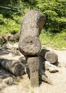 A large sculpture made from numerous coins embedded into logs, forming a unique structure situated outdoors in a wooded area. The sculpture appears to be an artistic installation among a mix of natural materials and lush greenery.