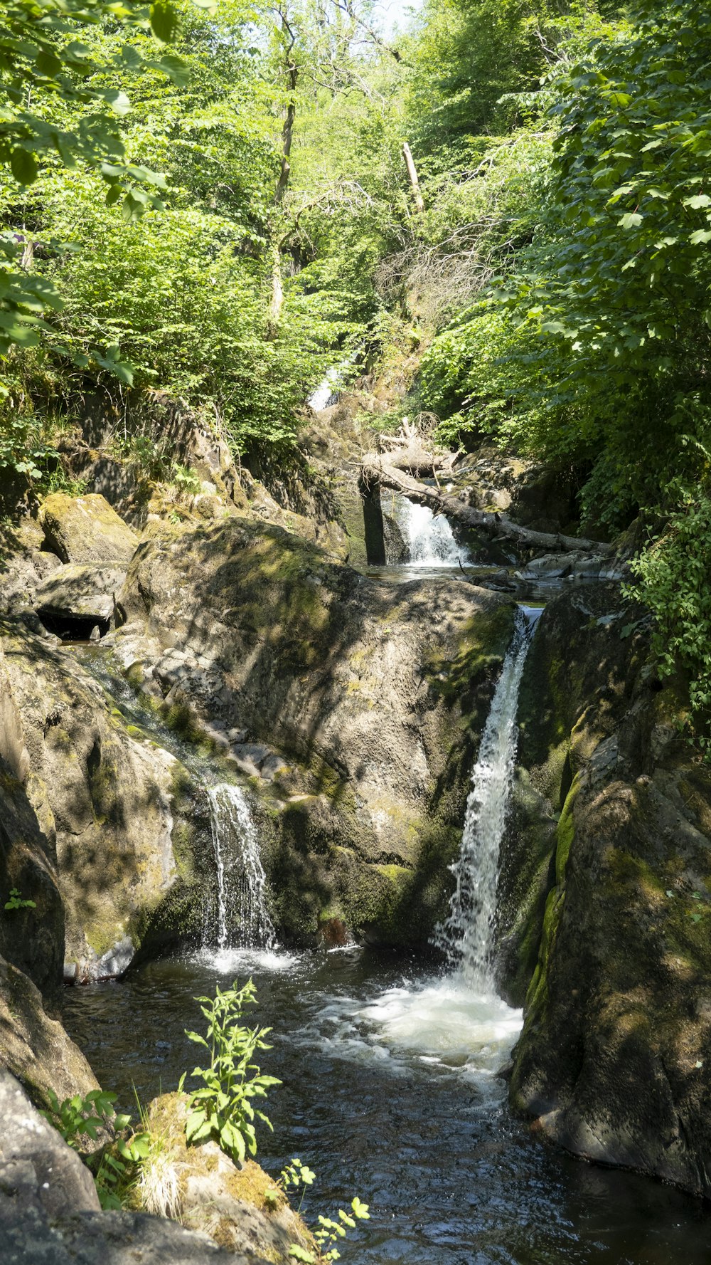 a small waterfall in the middle of a forest