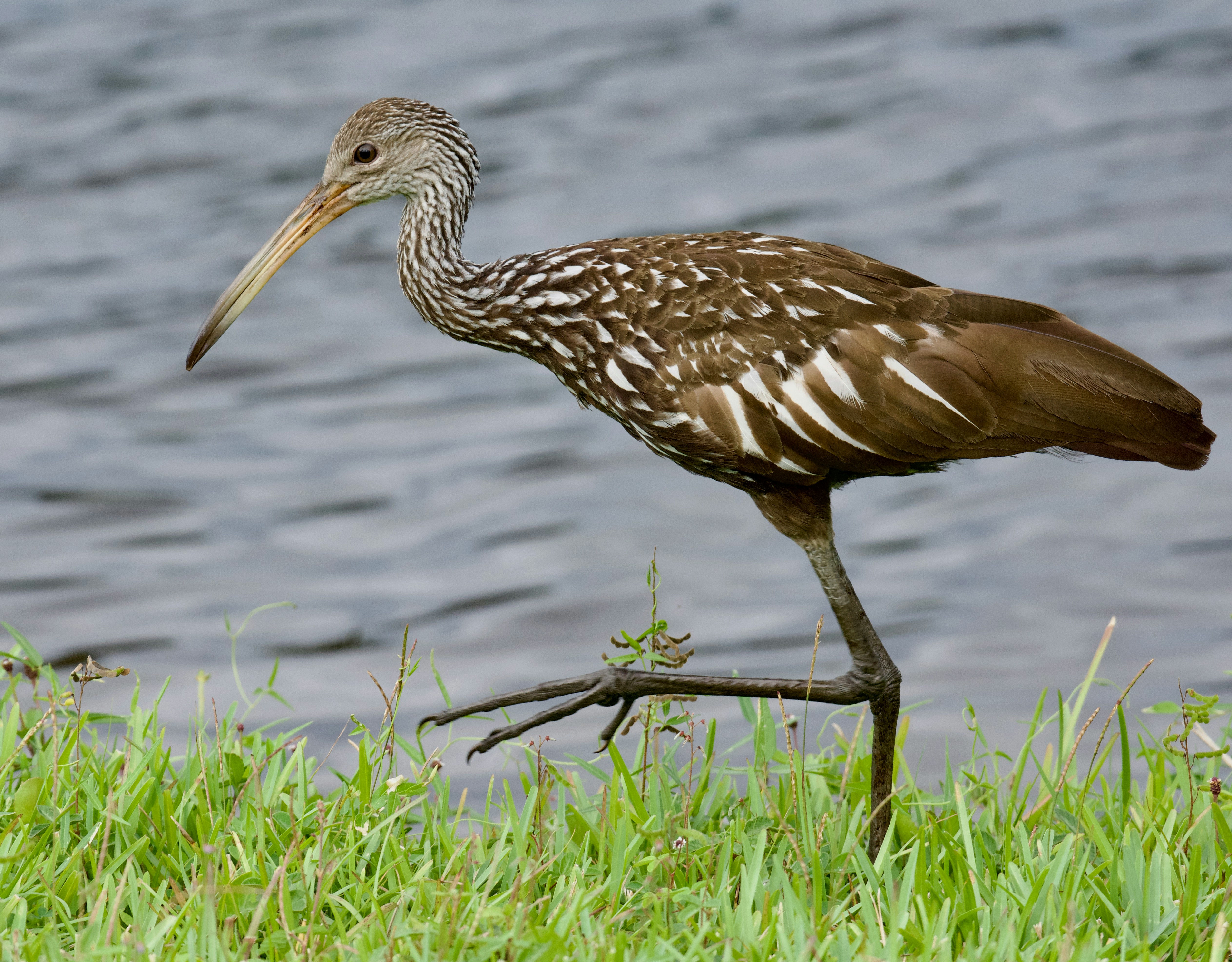 Photo by juliana_chapman