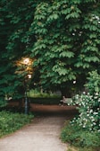 A serene park scene with a person sitting on a bench, checking their Flux loan status.