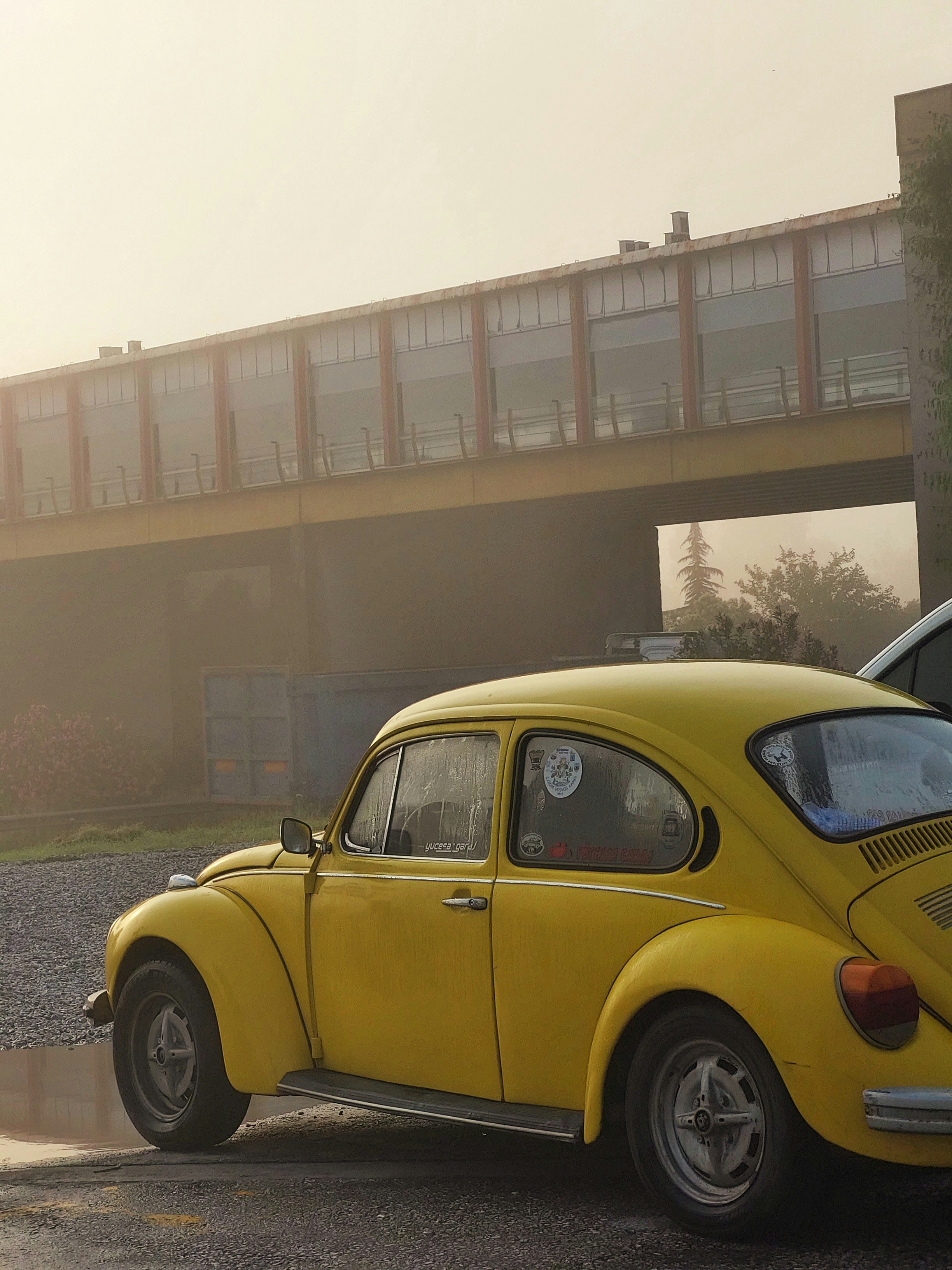 Un escarabajo amarillo estacionado frente a un edificio foto – Imagen de  Coche gratuita en Unsplash, image size:3000x4000