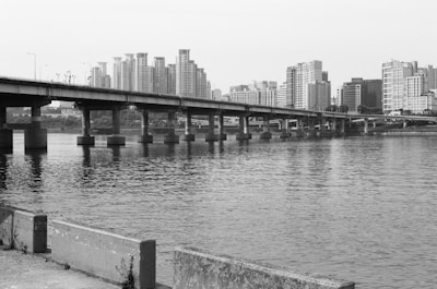 A long bridge spans across a wide river with a backdrop of high-rise buildings. The scene is captured in black and white, highlighting the architectural structures and the reflection of the bridge and buildings in the water. The foreground features a concrete embankment with some vegetation.