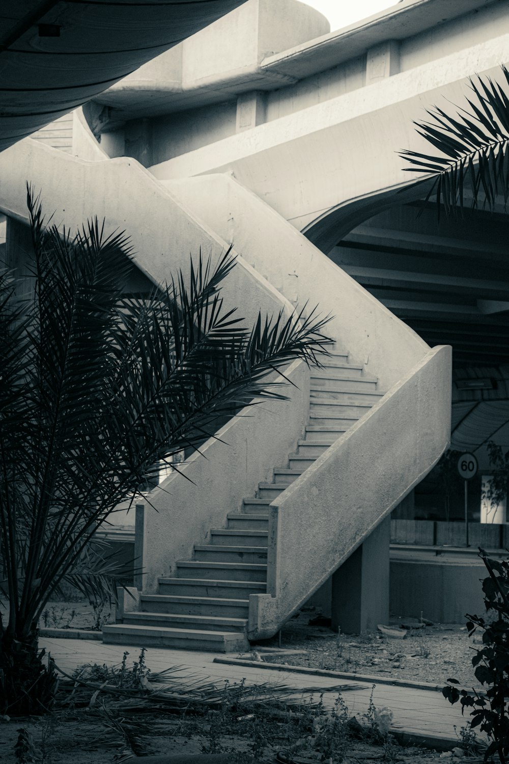 a black and white photo of a stair case