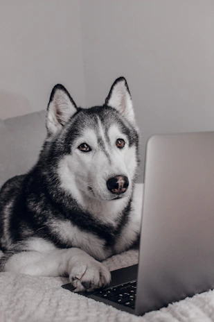 A cute puppy sitting next to a laptop displaying a dog care ebook cover.