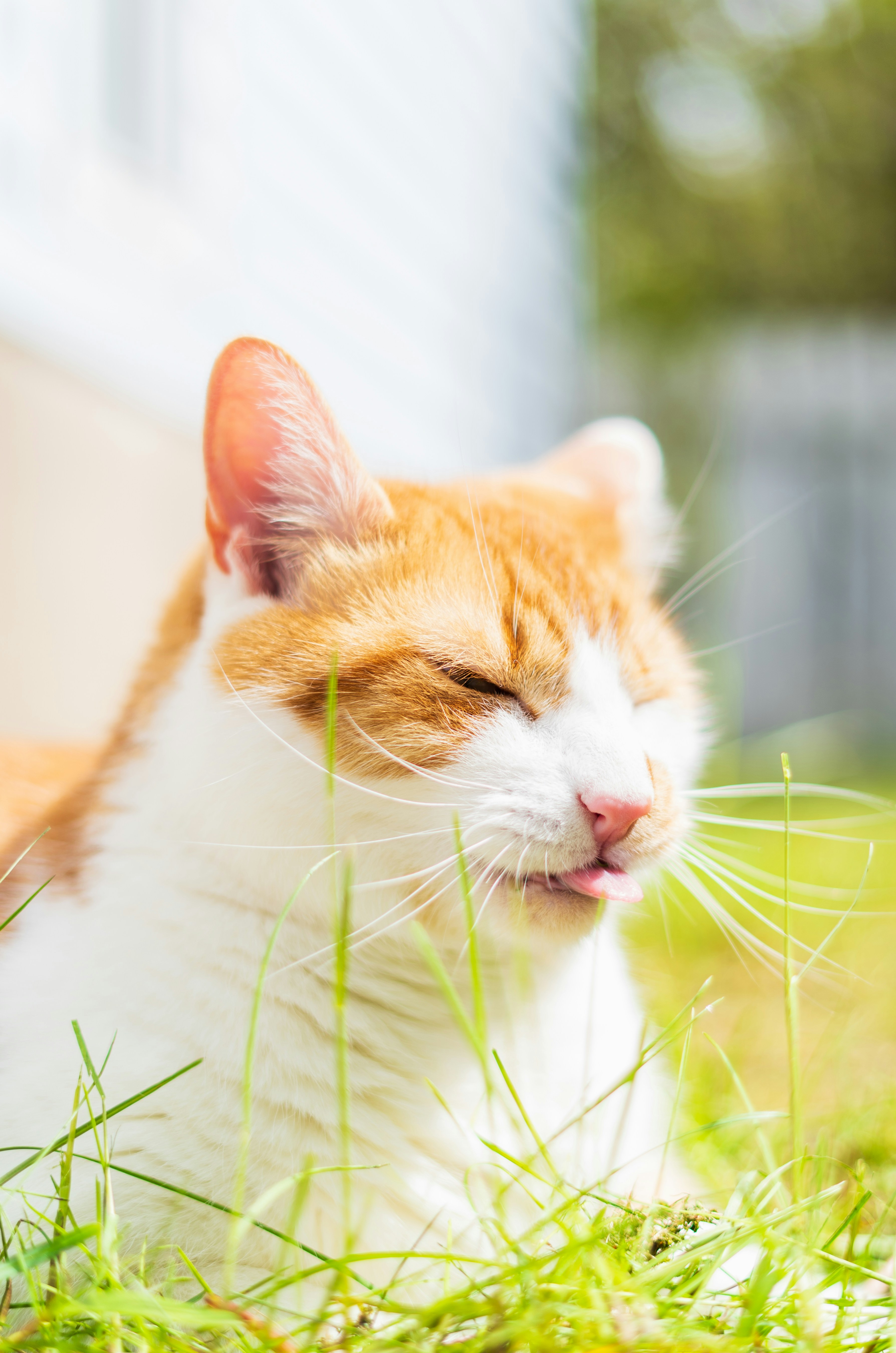 Photo by francis_nie