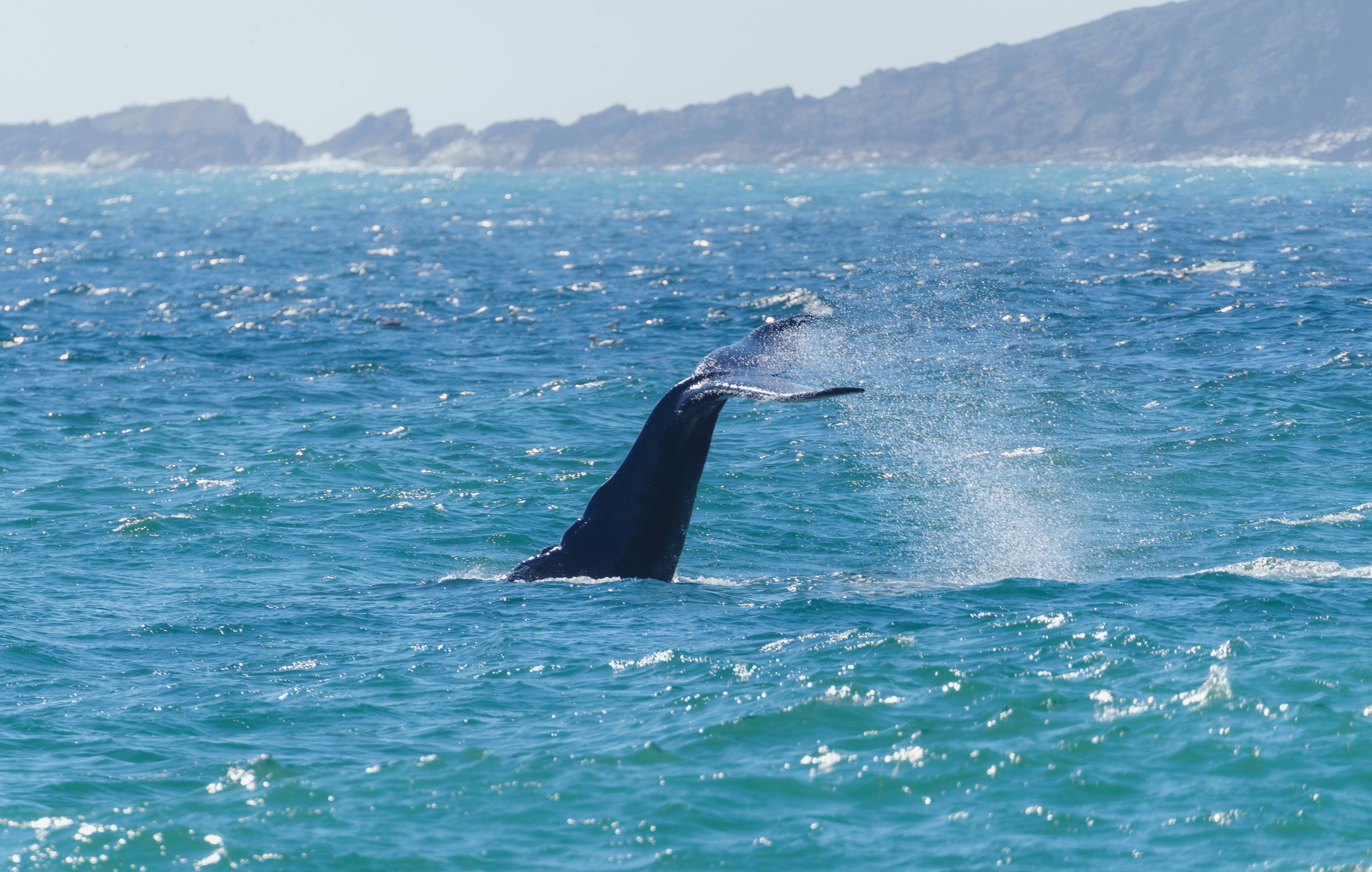 Photo by francis_nie