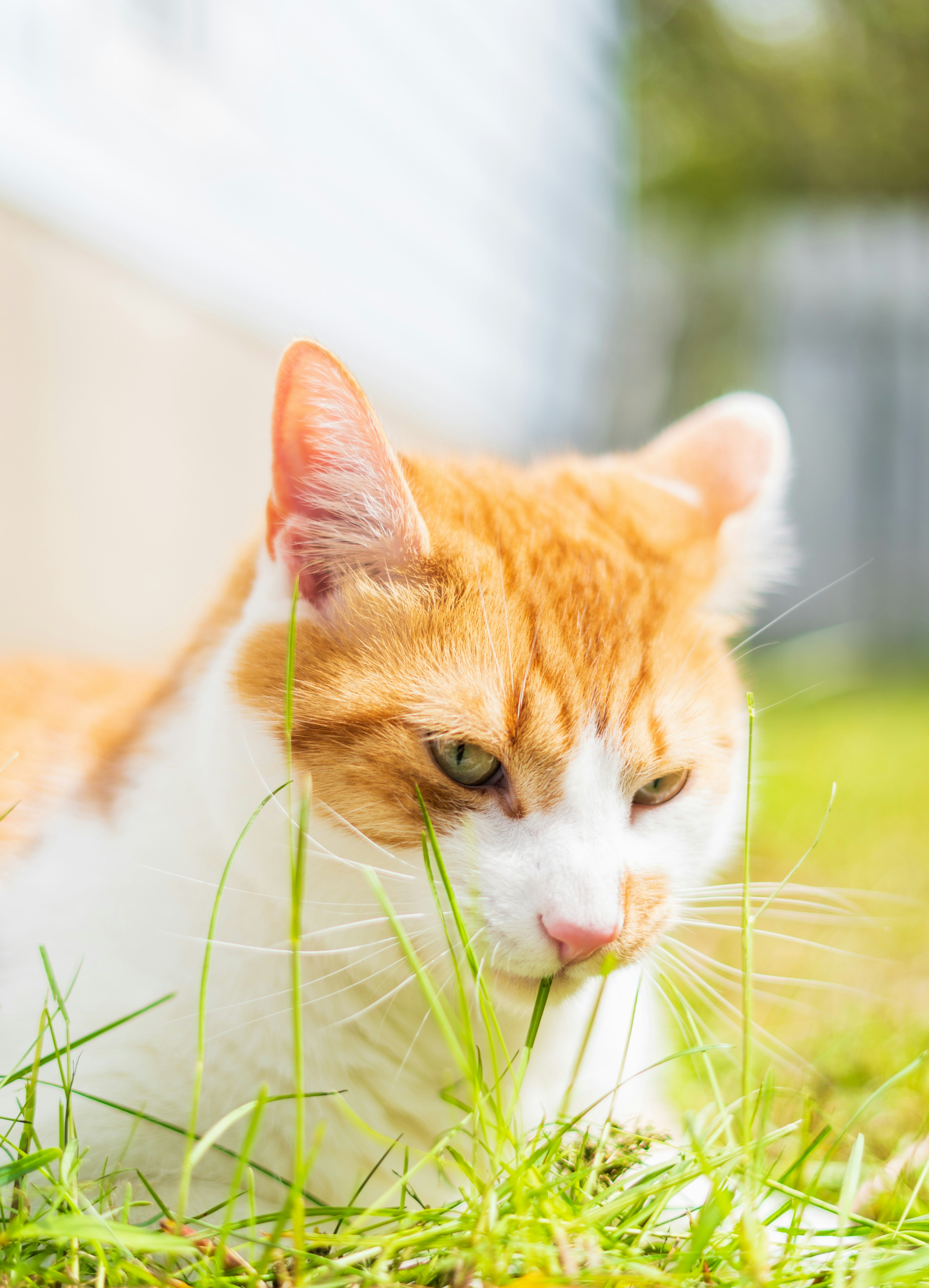 Photo by francis_nie