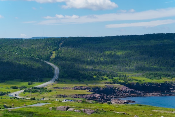 A winding road through lush green hills leading to a coastal town.