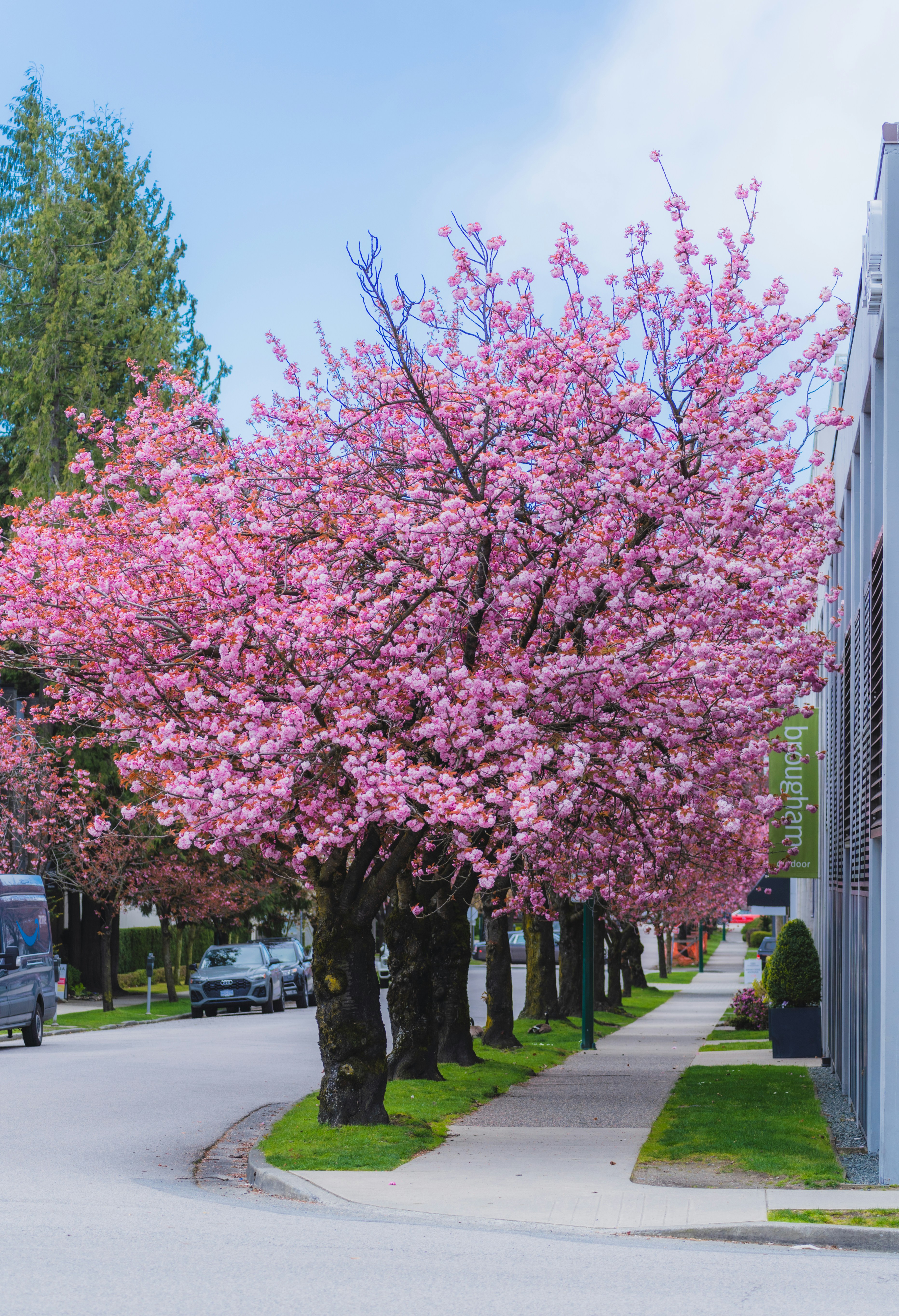 Photo by francis_nie