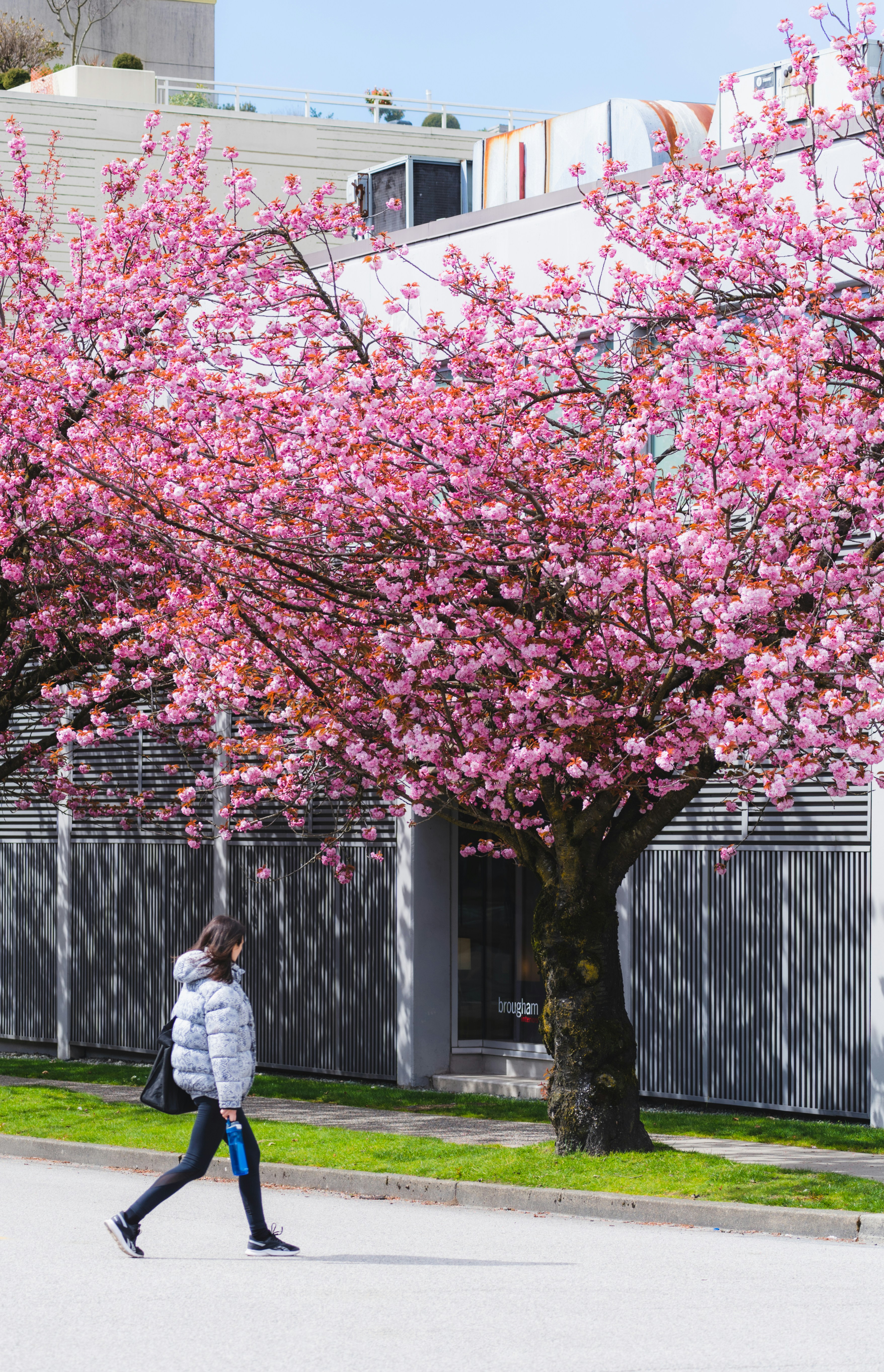 Photo by francis_nie