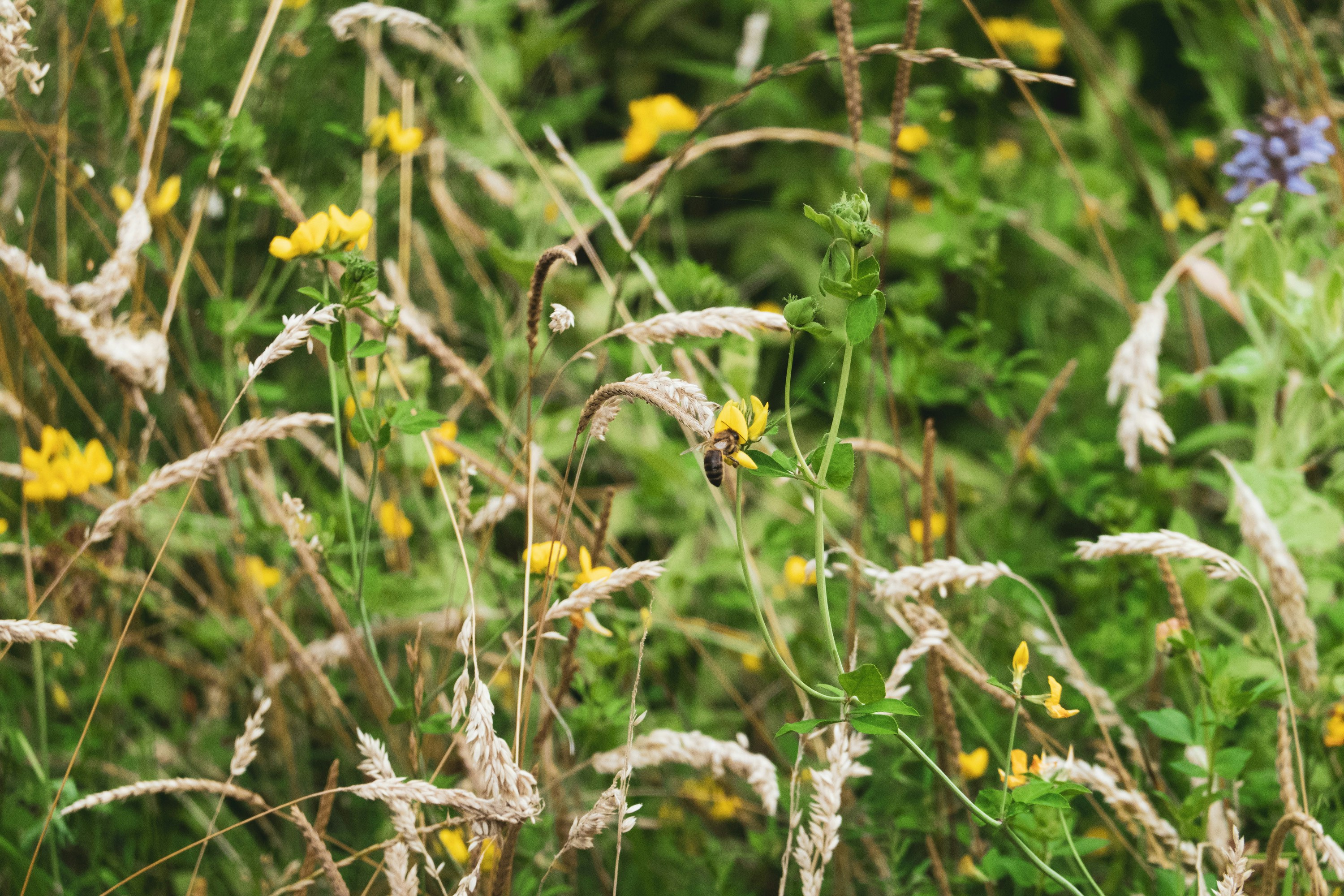 Photo by benjamin_photography