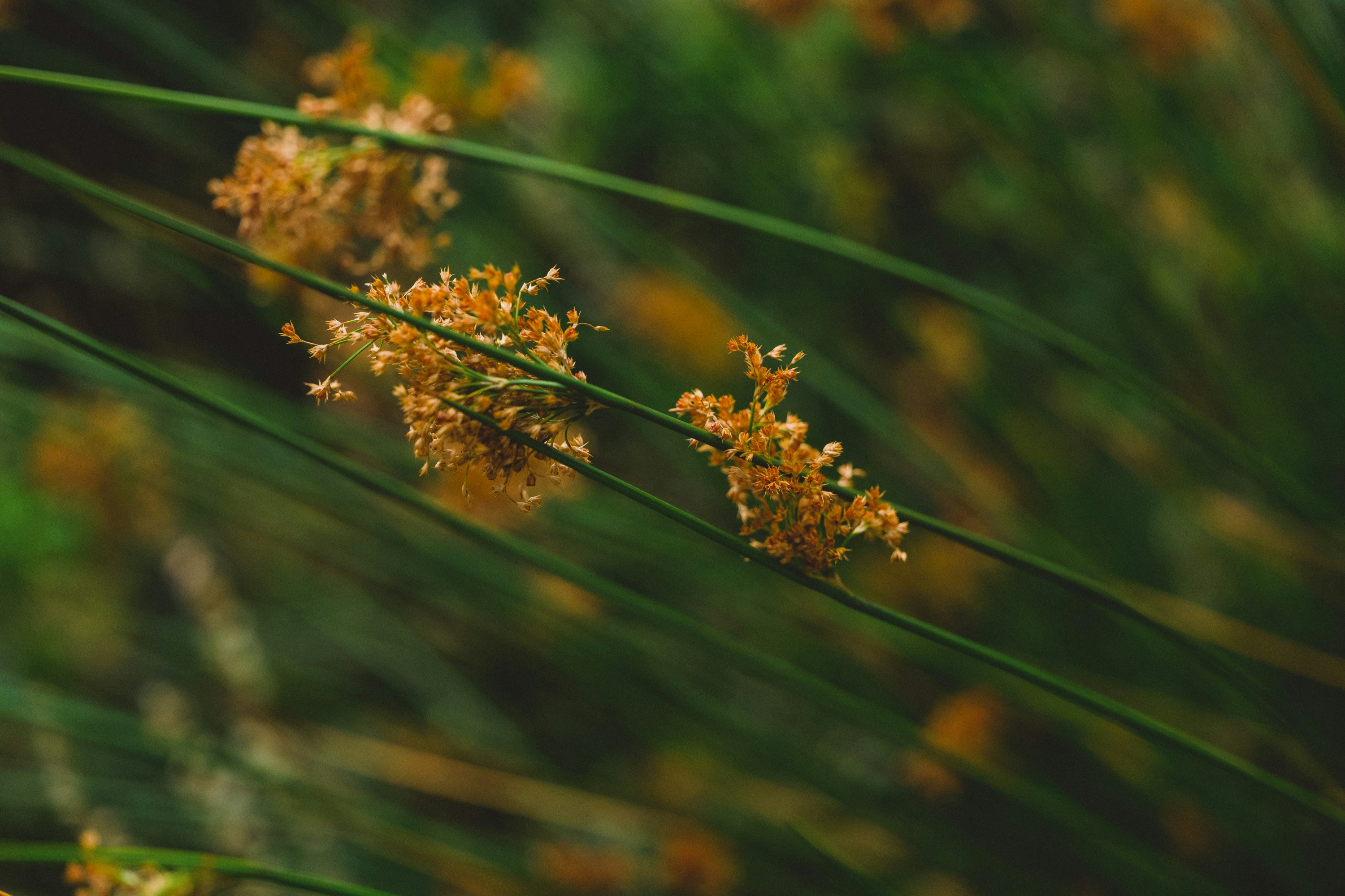 Photo by benjamin_photography