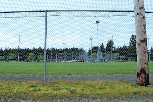 A fenced sports field surrounded by a chain-link fence and grassy area, with trees and light posts in the background. The field appears to be for baseball or softball, as there are visible backstops and bases. The sky is overcast, contributing to a subdued lighting.