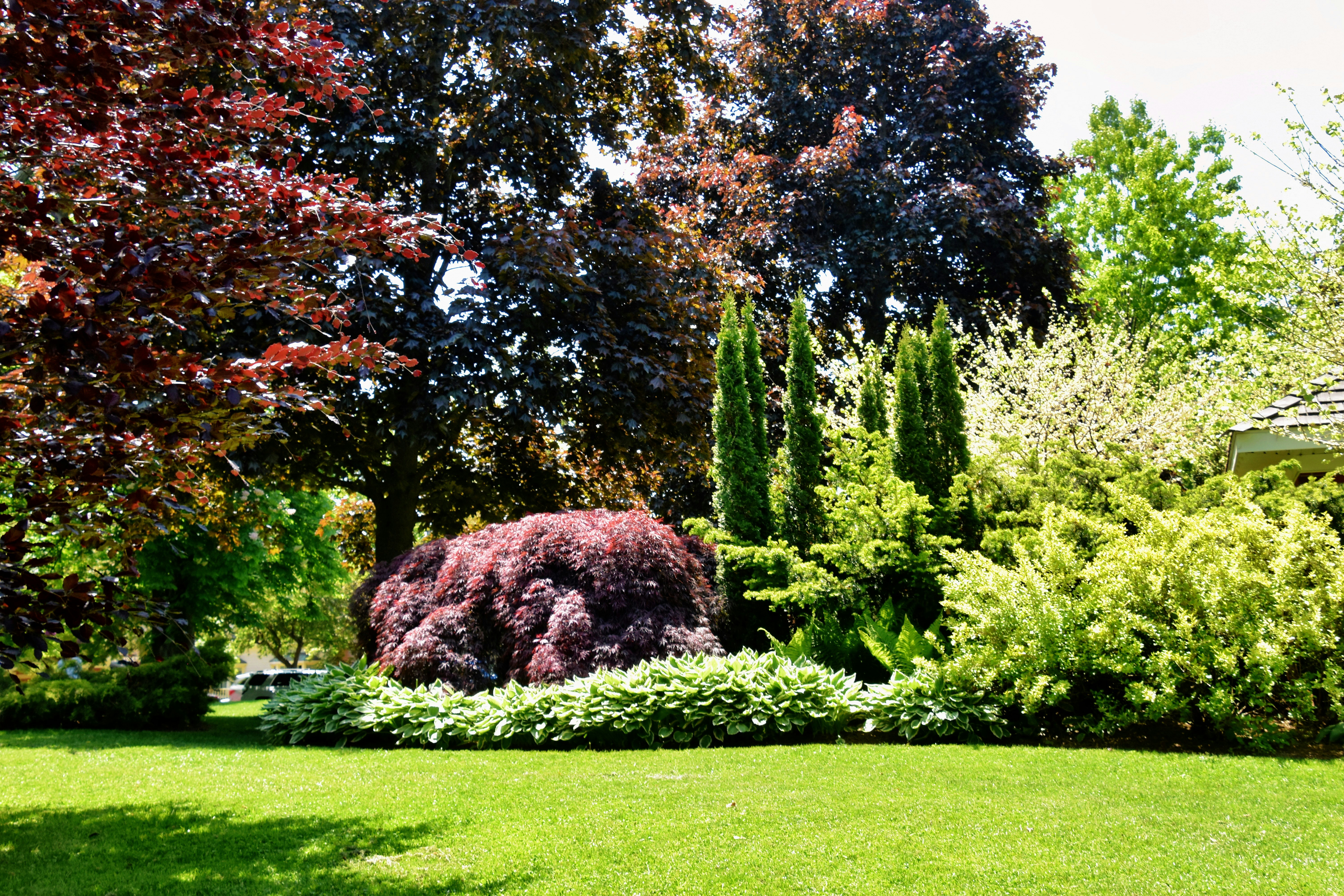 Essential Landscape Maintenance Services for a Lush Garden