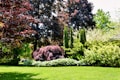 A lush garden landscape filled with vibrant greenery and a variety of trees and bushes. Tall evergreen trees stand prominently in the background, surrounded by shrubs and plants with varying shades of green and red foliage. The well-maintained lawn in the foreground is bright and evenly cut, creating a serene and inviting outdoor space.