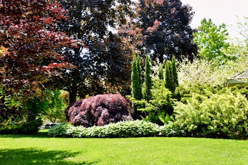 A lush garden landscape filled with vibrant greenery and a variety of trees and bushes. Tall evergreen trees stand prominently in the background, surrounded by shrubs and plants with varying shades of green and red foliage. The well-maintained lawn in the foreground is bright and evenly cut, creating a serene and inviting outdoor space.