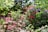 A lush garden filled with a variety of colorful plants and flowers, showcasing a serene outdoor space.