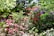 A lush garden filled with a variety of colorful plants and flowers, showcasing a serene outdoor space.