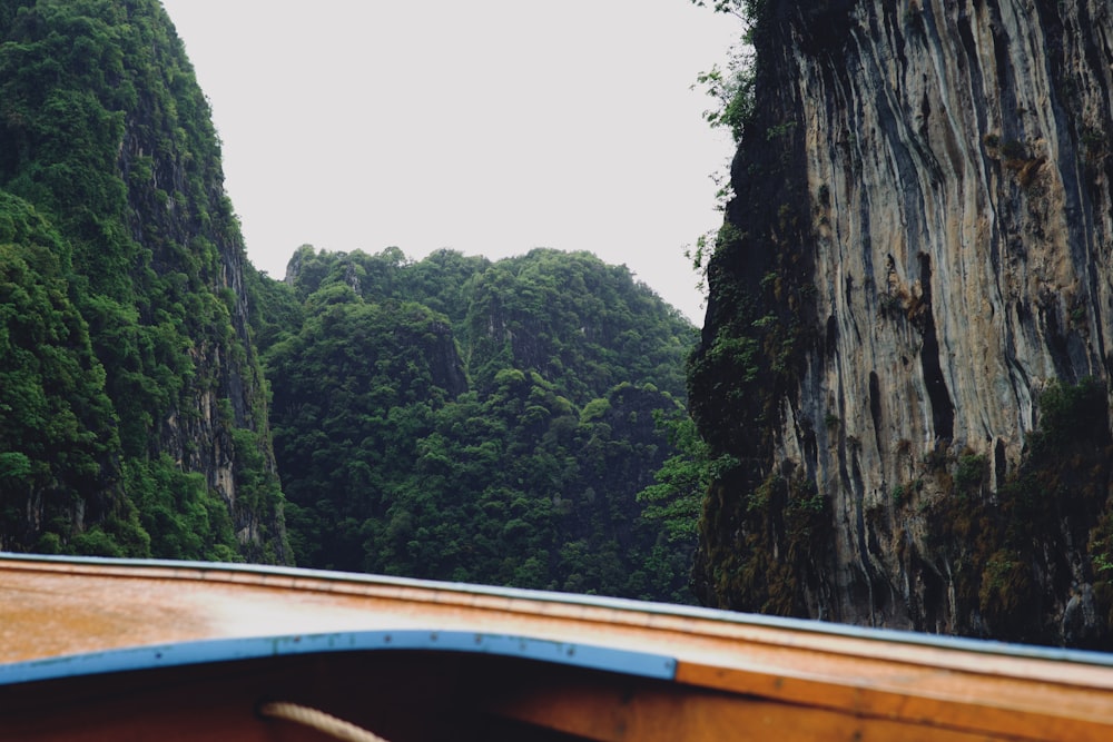 a wooden boat traveling through a lush green forest