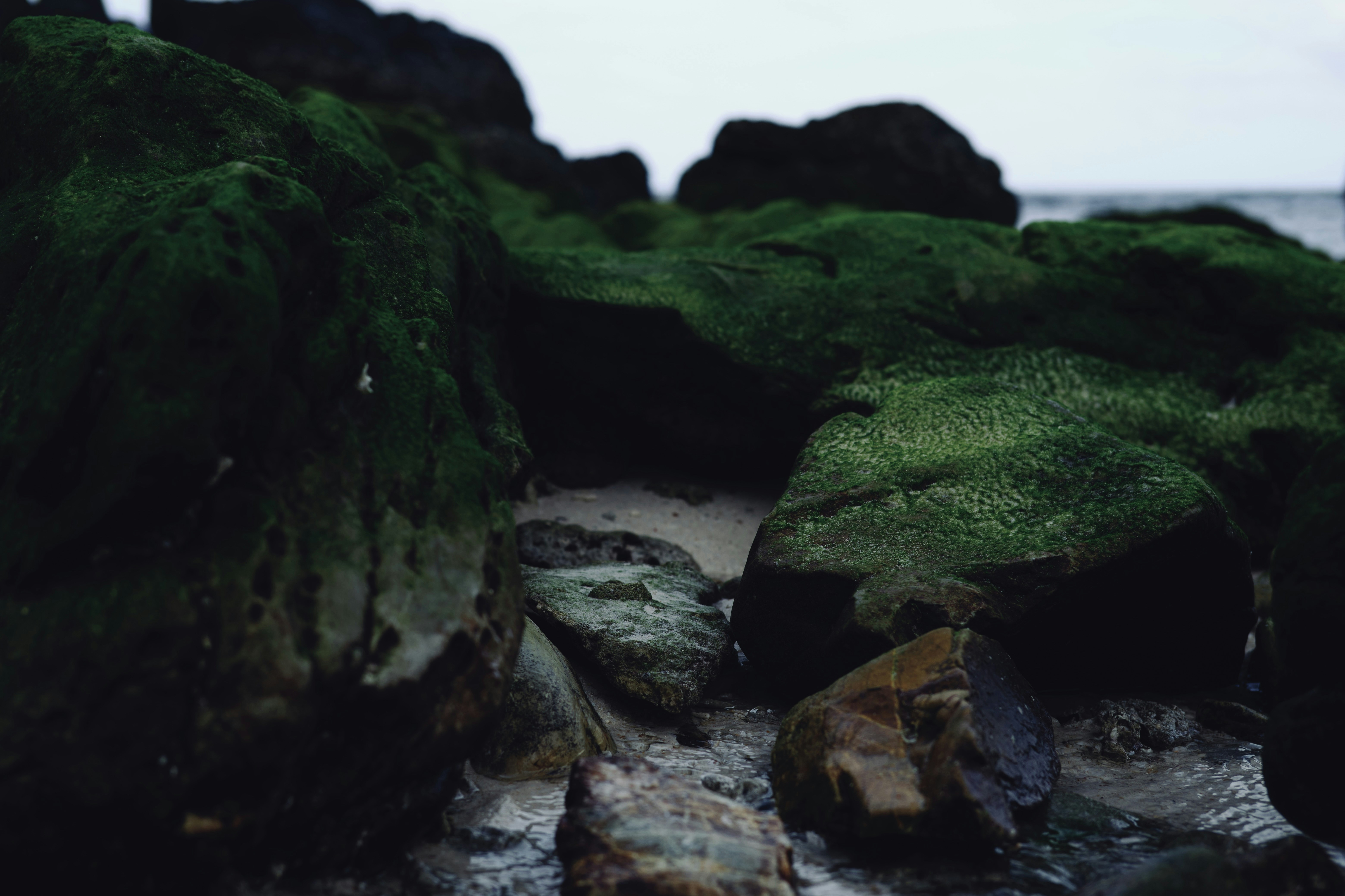 a close up of rocks covered in green moss