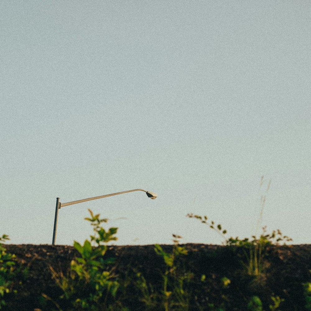 a street light sitting on the side of a road