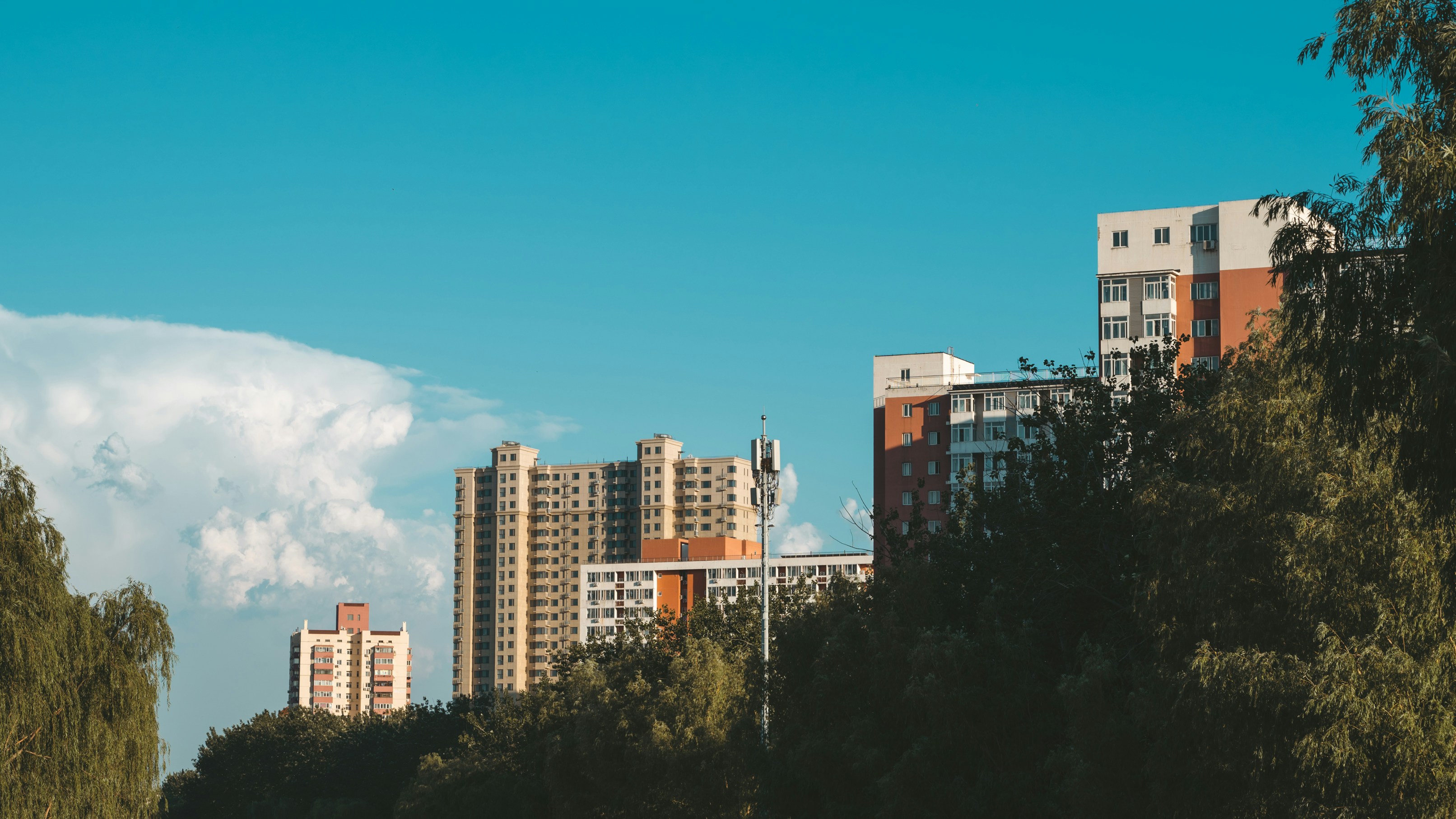 Photo by peek_a_boo_who