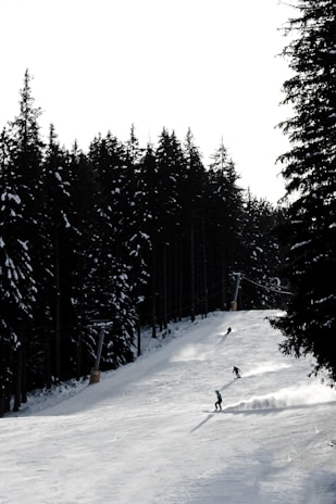 Kids laughing and skiing down a snowy slope with pine trees dusted in fresh powder.