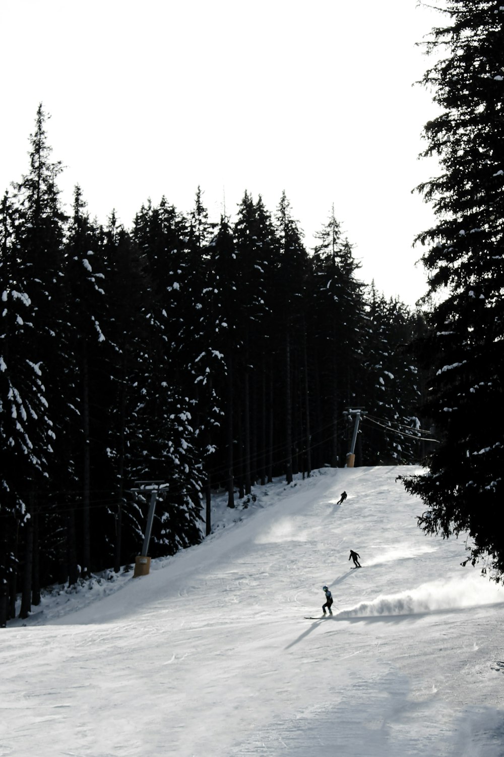 two people skiing down a snow covered slope