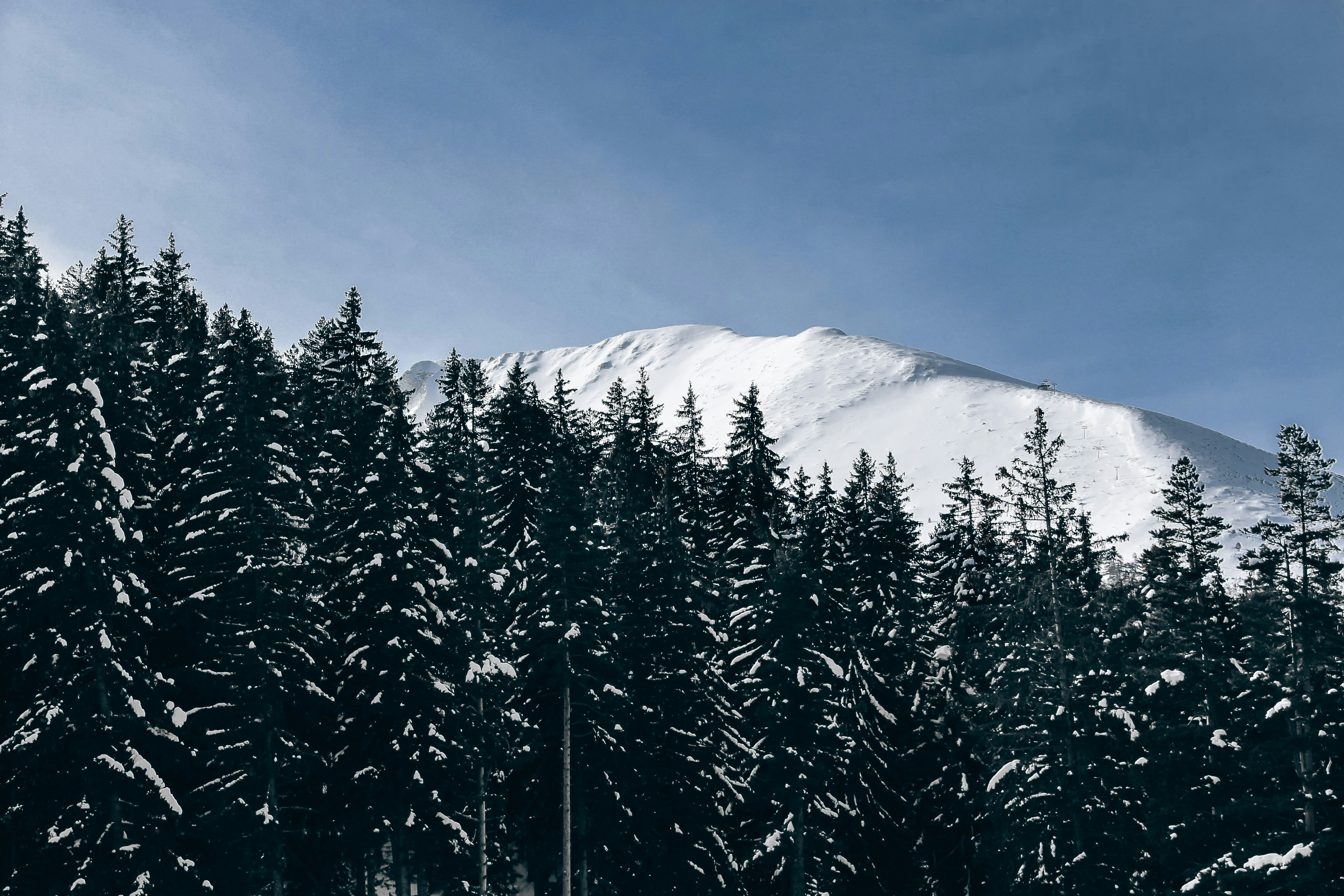 Bansko – Geography & Spatial Structure