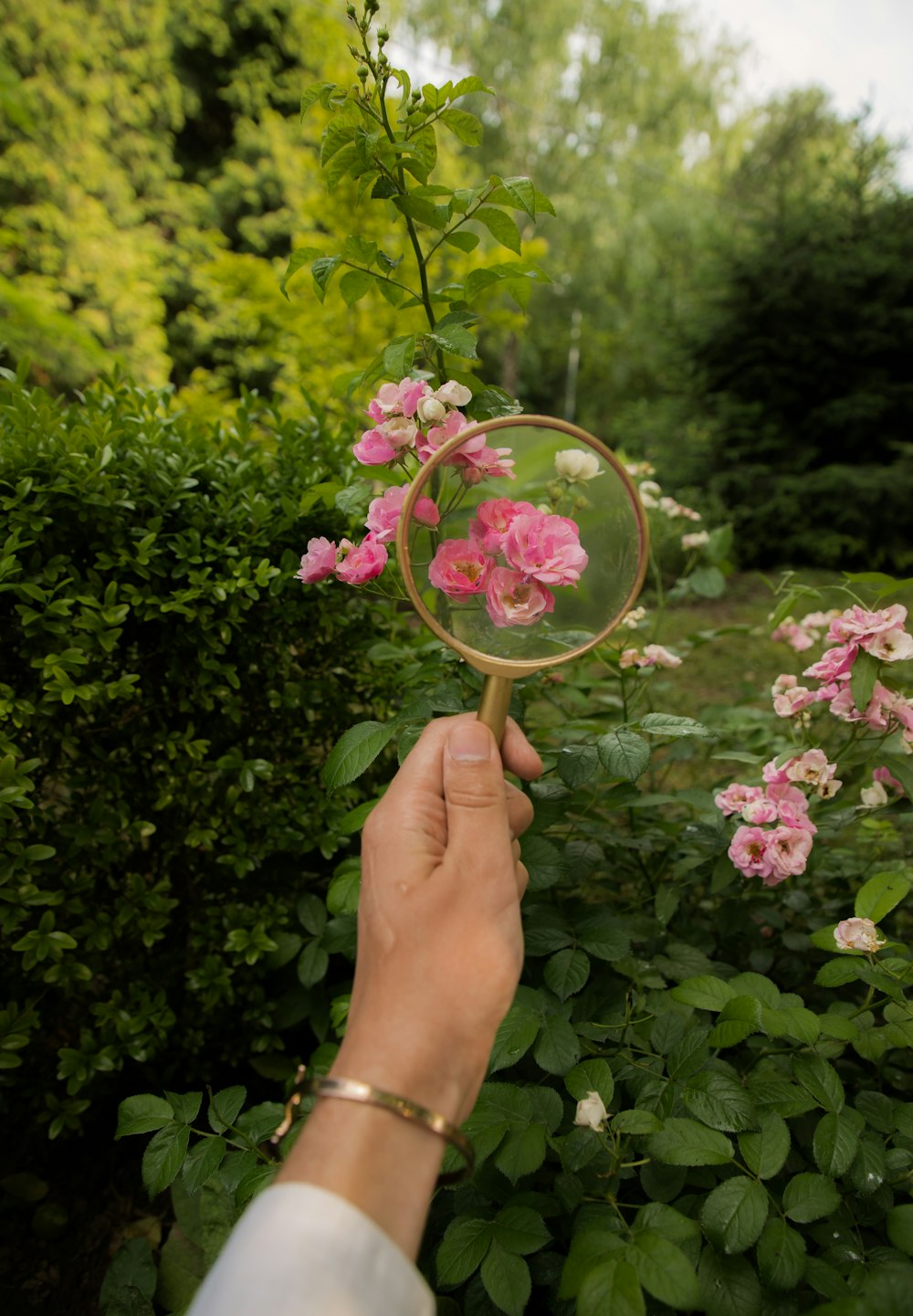 a person holding a magnifying glass with pink flowers