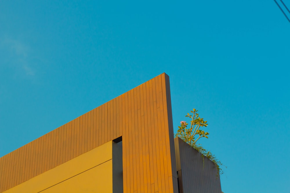 a yellow building with a plant growing out of it